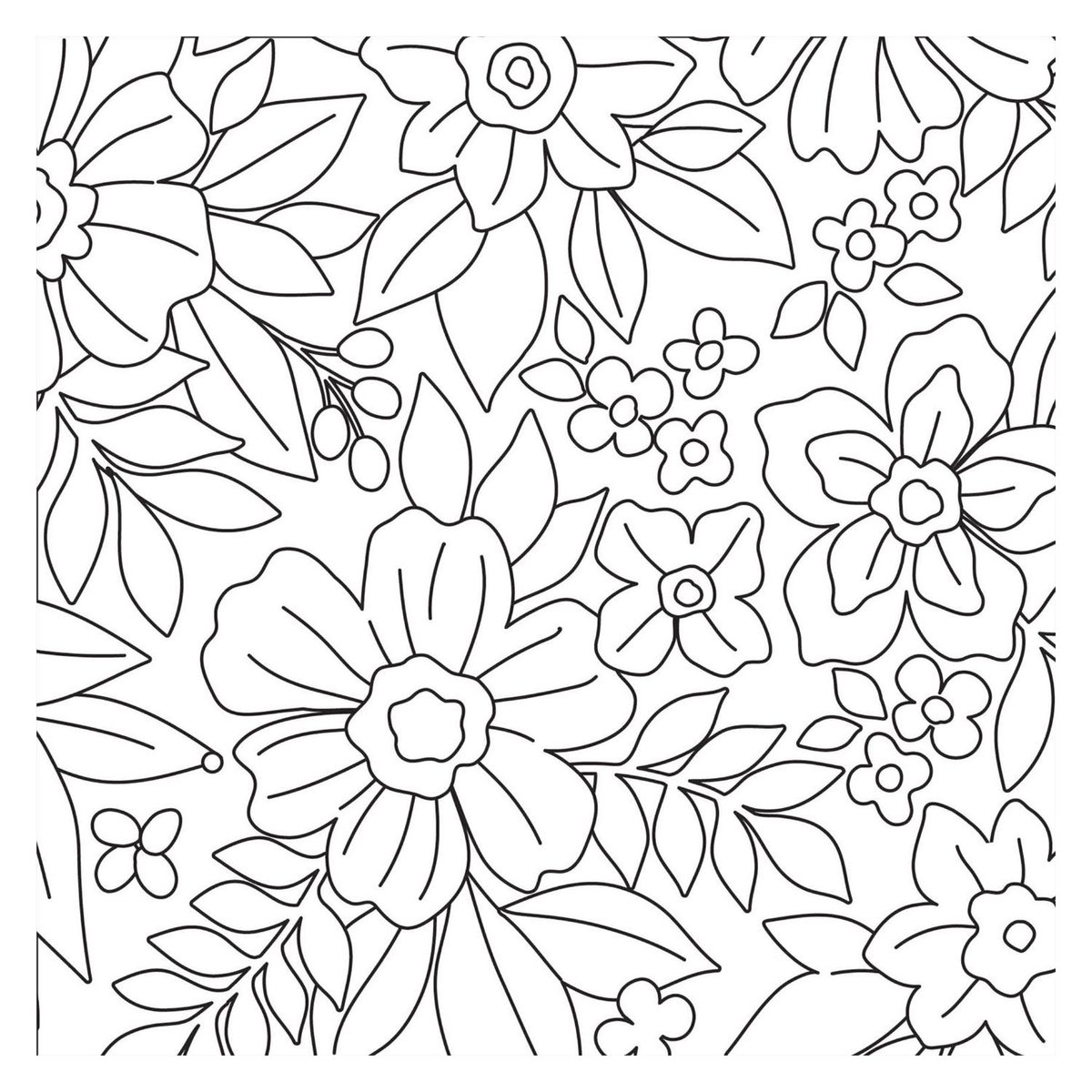 Bloom — cadeau in Hobby - foto 2