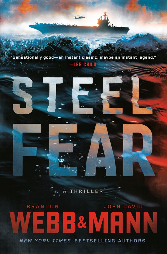 The Finn Thrillers- Steel Fear - cover