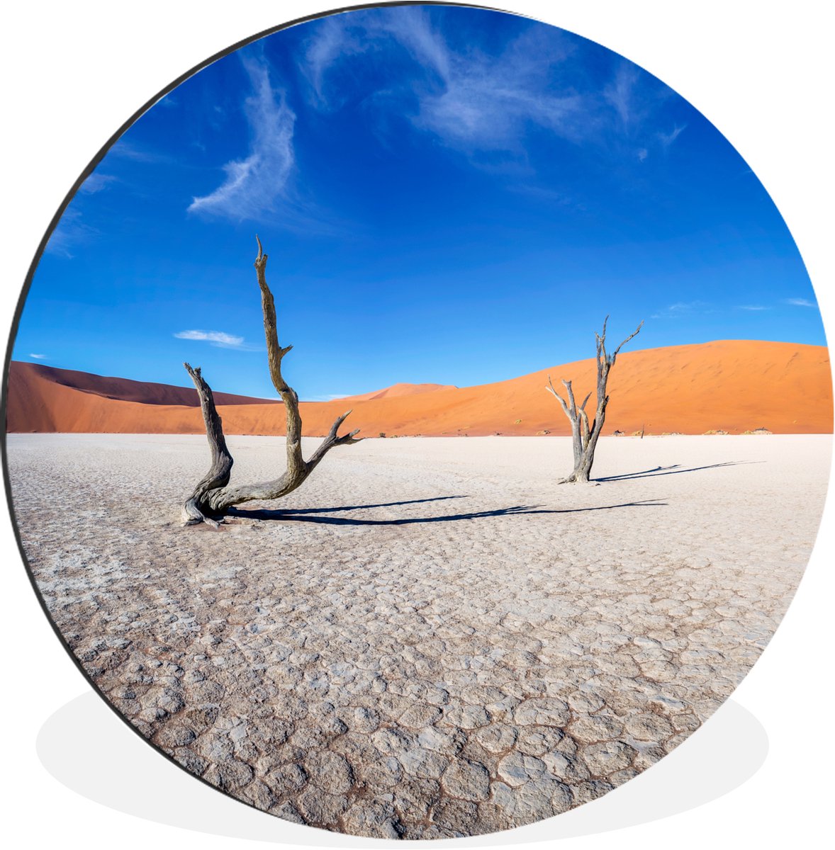WallCircle - Wandcirkel - Muurcirkel - Oude bomen in de woestijn - Aluminium - Dibond - 60x60 cm - Binnen en Buiten