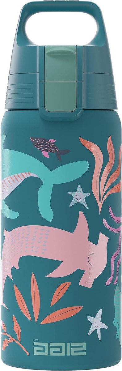 Geïsoleerde waterfles - Thermosfles kind - Drinken onderweg - Koolzuurhoudend bestendig - 05 Liter - Blauw