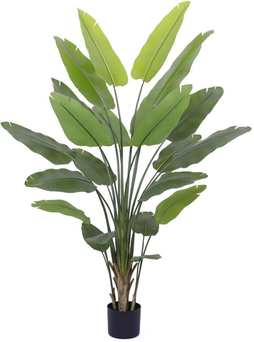 Kunstplant Strelitzia 230cm