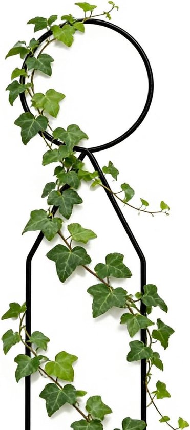 Plant Trellis - Klimplantsteun Latwerk - Planten Ondersteunen - Boomvorm Ontwerp - 334 cm - Zwart