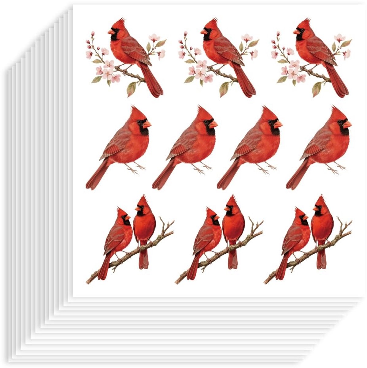 Dailygoods- Vogelstickers 200 stuks - Zelfklevende Papieren Stickers - Waterdichte Kardinaal Vogel - Decoratieve Stickers - Plakboek/Kalender Decor - Decoratiestickers