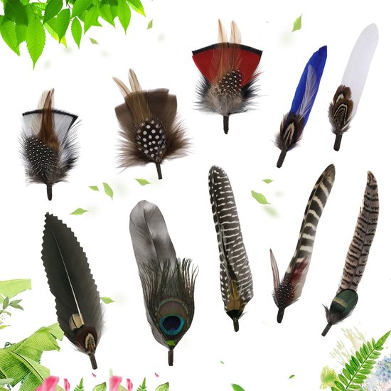 10 stuks 10 stijl hoed veren, veren voor ambachten, natuurlijke veren voor doe-het-zelf dromenvanger ambachten, kostuums, hoeden, handwerk, woondecoratie, Halloween, doe-het-zelf decoratie — afbeelding 3