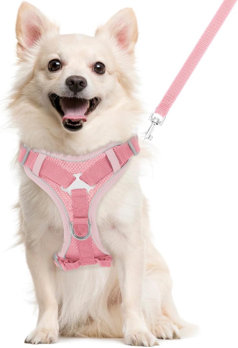 Set met kattenharnas en riem om te wandelen, ontsnappingsbestendig veiligheidsvest voor huisdieren met reflecterende strip, ademend gaas, verstelbaar zacht kittenvest harnas voor kittens