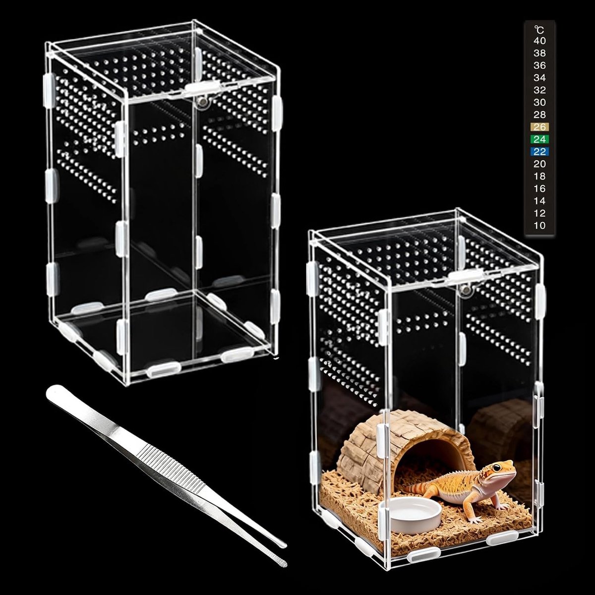 Terrarium voor reptielen van acryl, 20 x 12 x 12 cm, acryl terrarium met thermometer en pincet, ademende hoes voor de reptielenteelt, kunststof hoes voor schorpioenen, duizendpoten