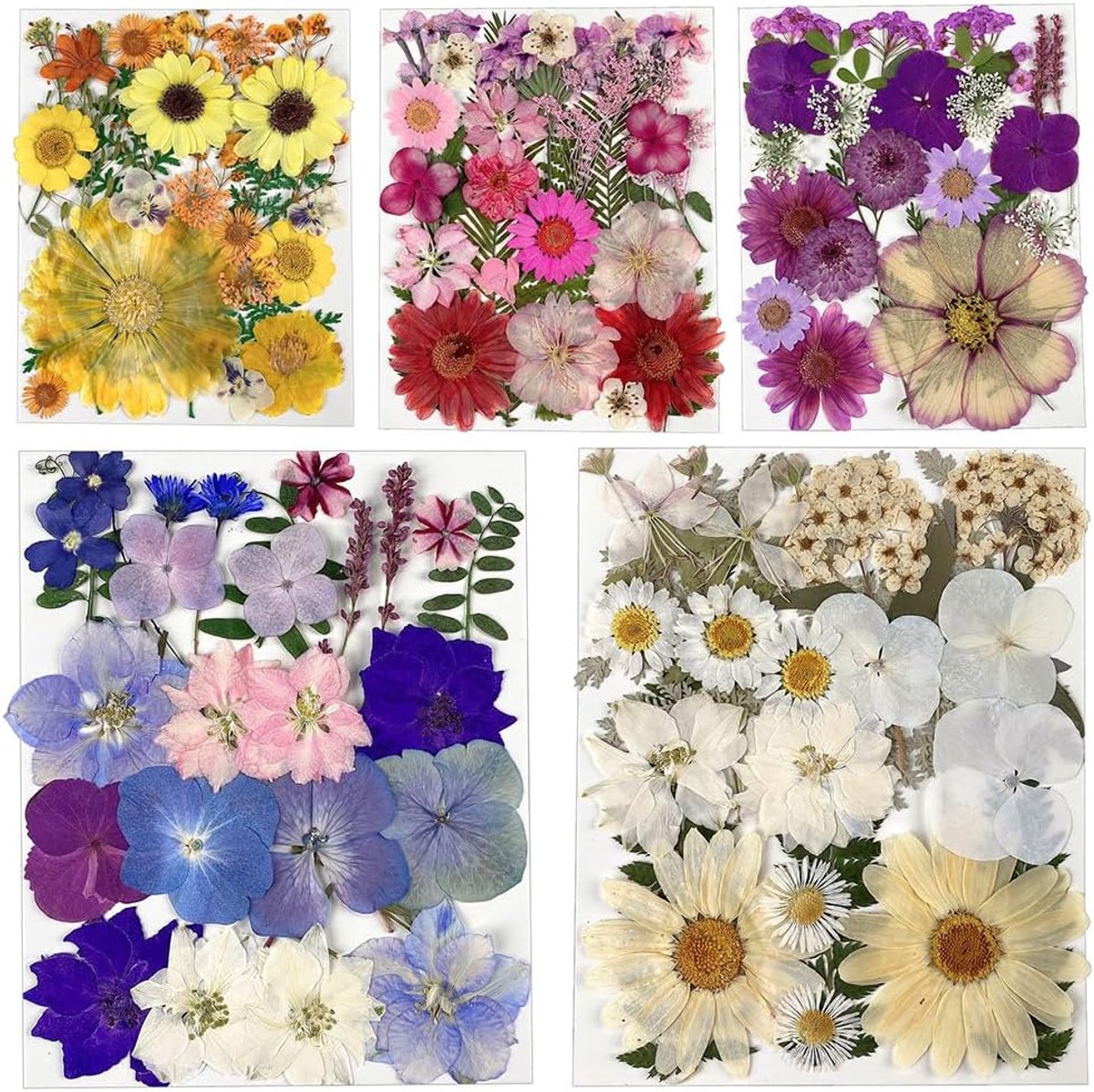 125 stuks gedroogde geperste bloemen voor harsvormen - natuurlijke gedroogde bloemblaadjes - echte kruidenkit voor doe-het-zelf handwerk - zeepkaars - papieren sieraden (instelling A)