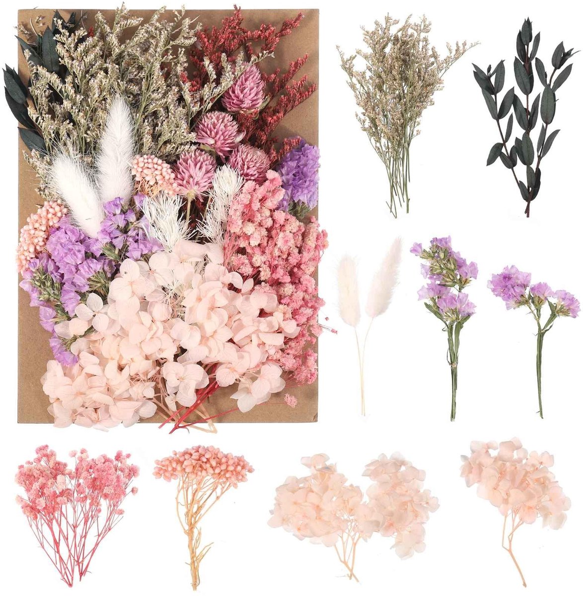 SolidKeus - Drogen Natuurlijke Bloemen voor DIY Decoratie en Scrapbooking