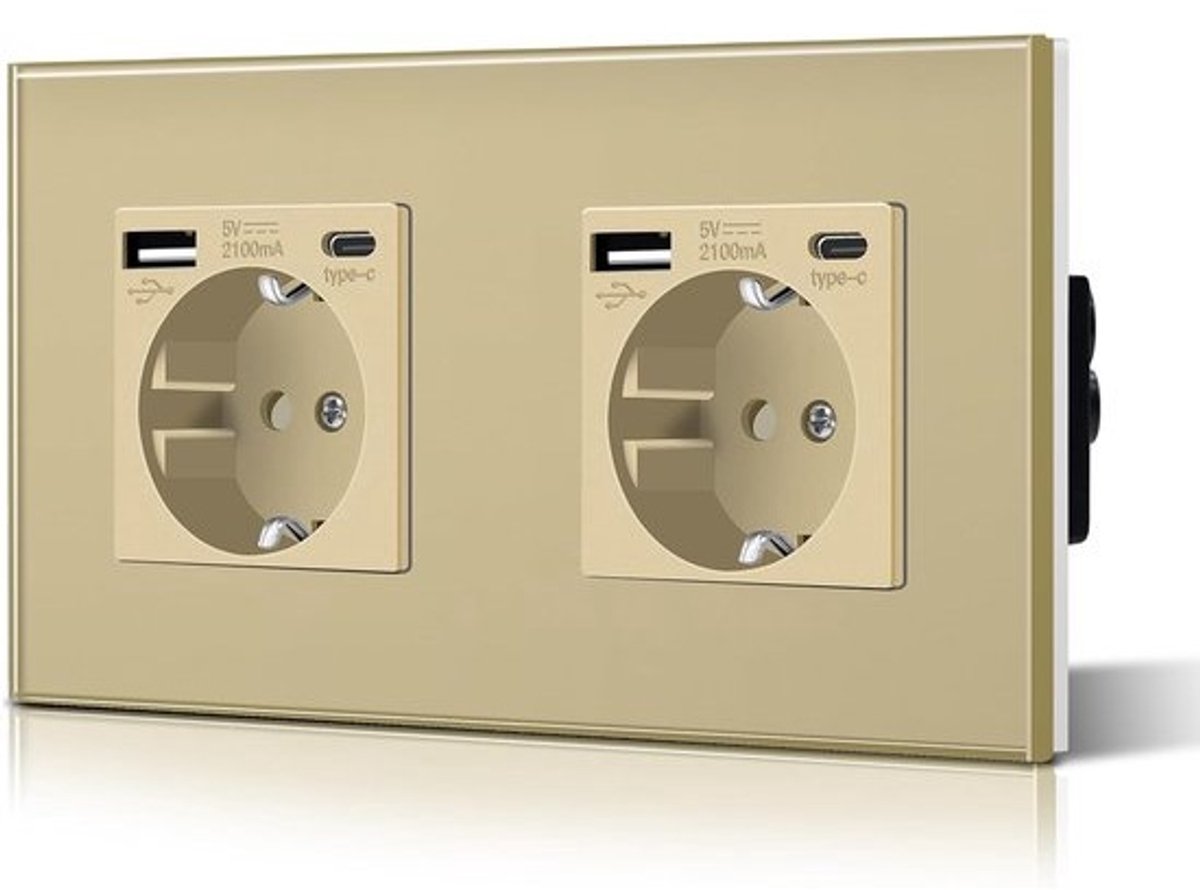 Wandcontactdoos met 2 Standaard Geaarde Stopcontacten en USB-Oplaadpoort