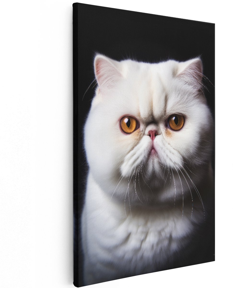 Artaza Canvas Schilderij Kat - 100x150 cm - Groot - Wanddecoratie Exotic Shorthair - Muurdecoratie Dieren - Kamer Accessoires Slaapkamer - Wit