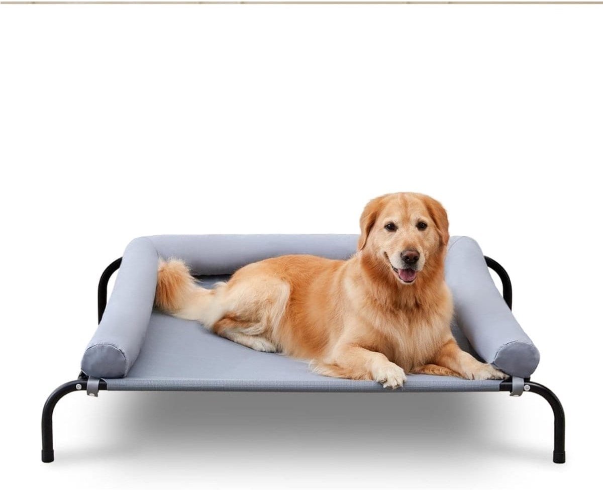 Klarven® Verhoogd Hondenbed Grijs - Koelend Ademend Mesh - Verwijderbare Hoofdsteun, Wasbaar, Binnen en Buiten - L 105 x B 80 x H 20 cm