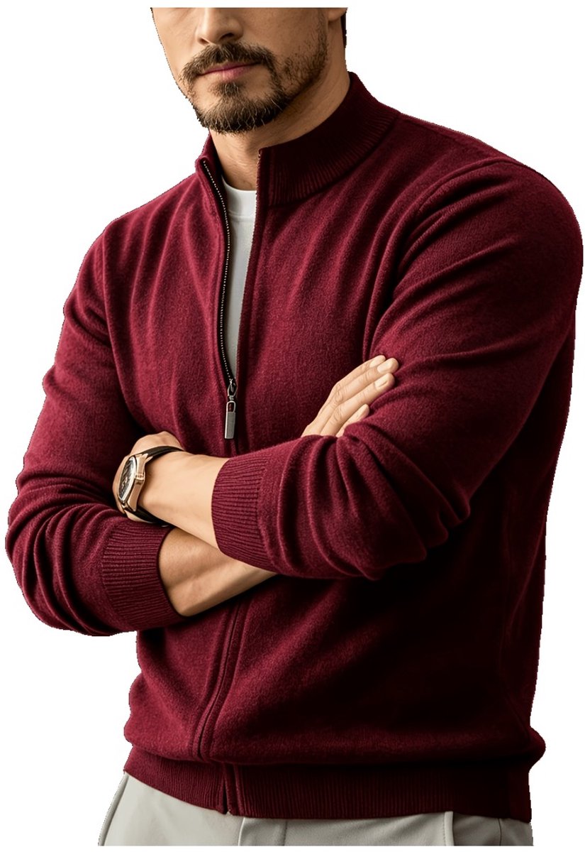 Currero Vest Heren Met Rits Sweater Cardigan Gebreid Sweaters Hoodie Warme Trui Lange Mouw Donkerrood