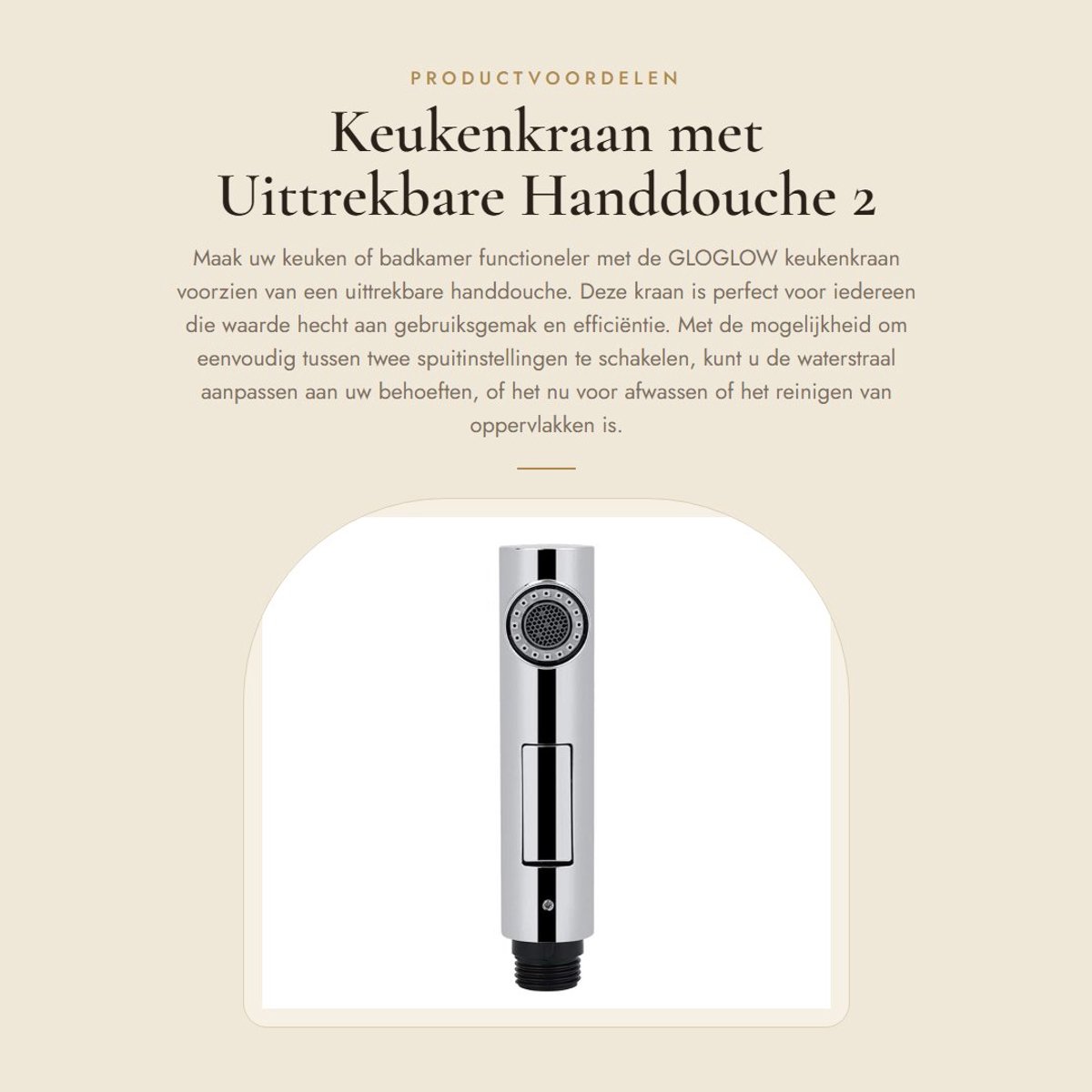 Dailygoods - Keukenkraan met Uittrekbare Handdouche - 2 Sprayinstellingen - Functionele Ke