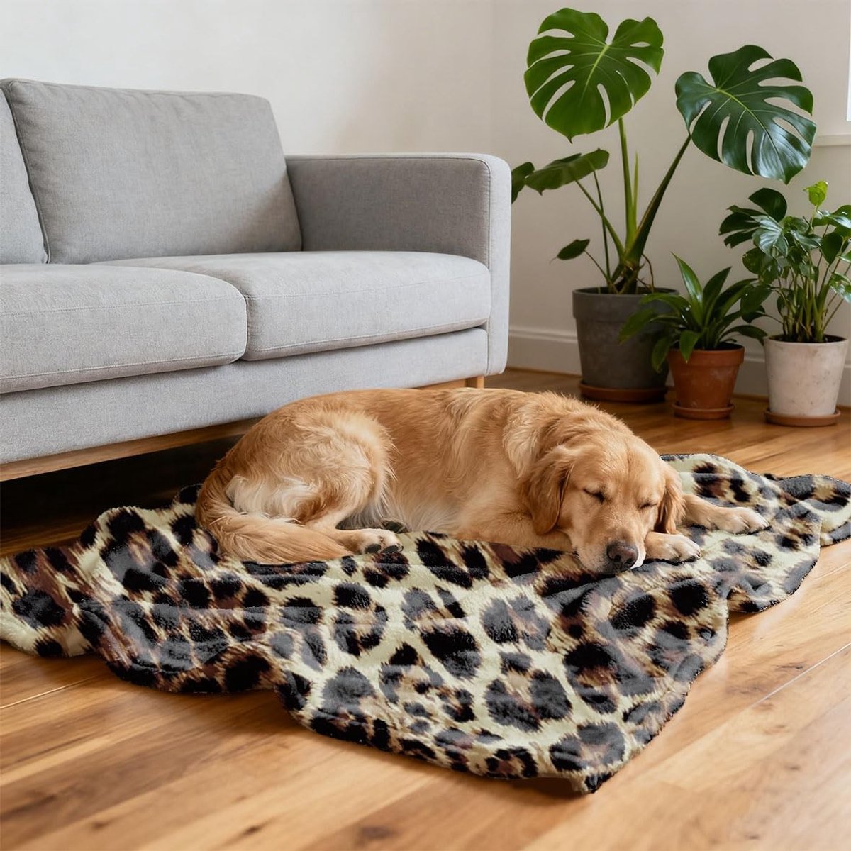 Dailygoods - Zachte dikke pluizige deken luipaardprint dominant coole dekens voor bank vezels mannen vrouwen warme decoratieve pluizige deken reizen thuis kantoor school zwart bruin
