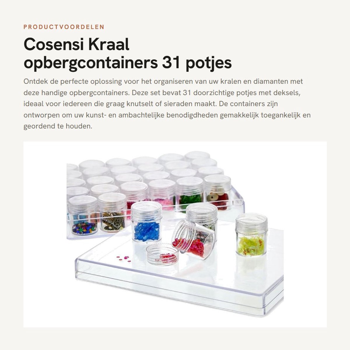 Dailygoods- Opslagcontainers 31 Potjes - Kraal Organizer - Doorzichtige Opbergdoos - Kunst- en Ambachtelijke Benodigdheden - Met Deksels - Handige Organisatie - Kralenopbergdoos