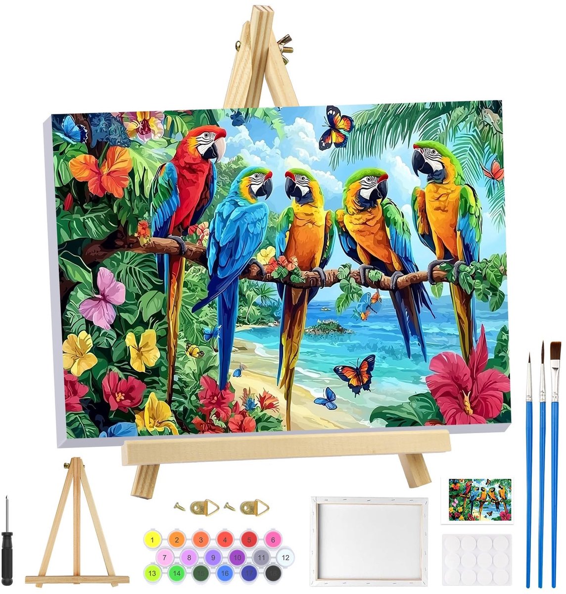 Dailygoods- Schilderen op Nummer - Papegaaienverf voor Volwassenen - Schilderkit met Frame - Ezel - Doe-Het-Zelf Kunst - Canvas 8 x 30,5 cm - Verfset