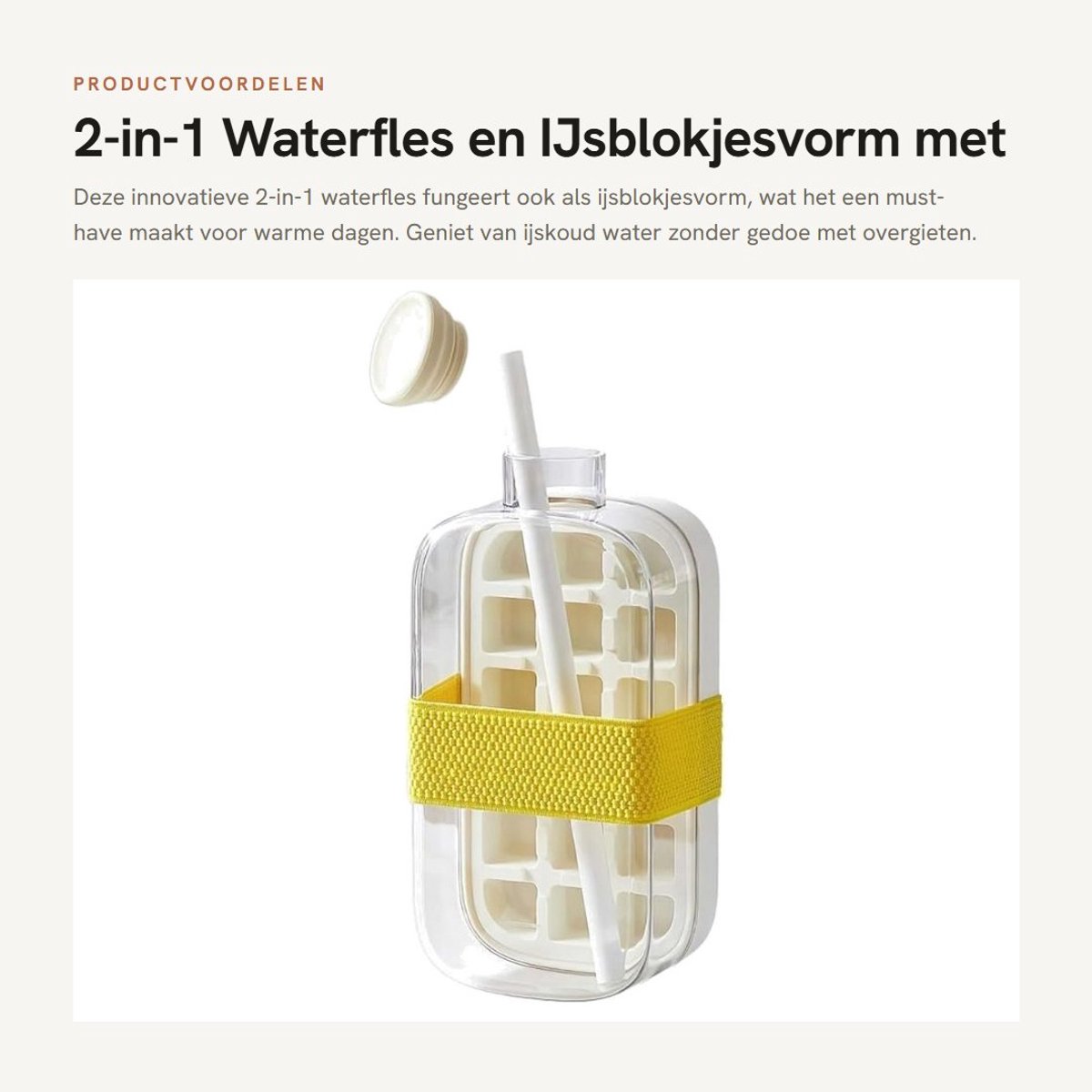 Dailygoods - 2-in-1 Waterfles en IJsblokjesvorm met Deksel