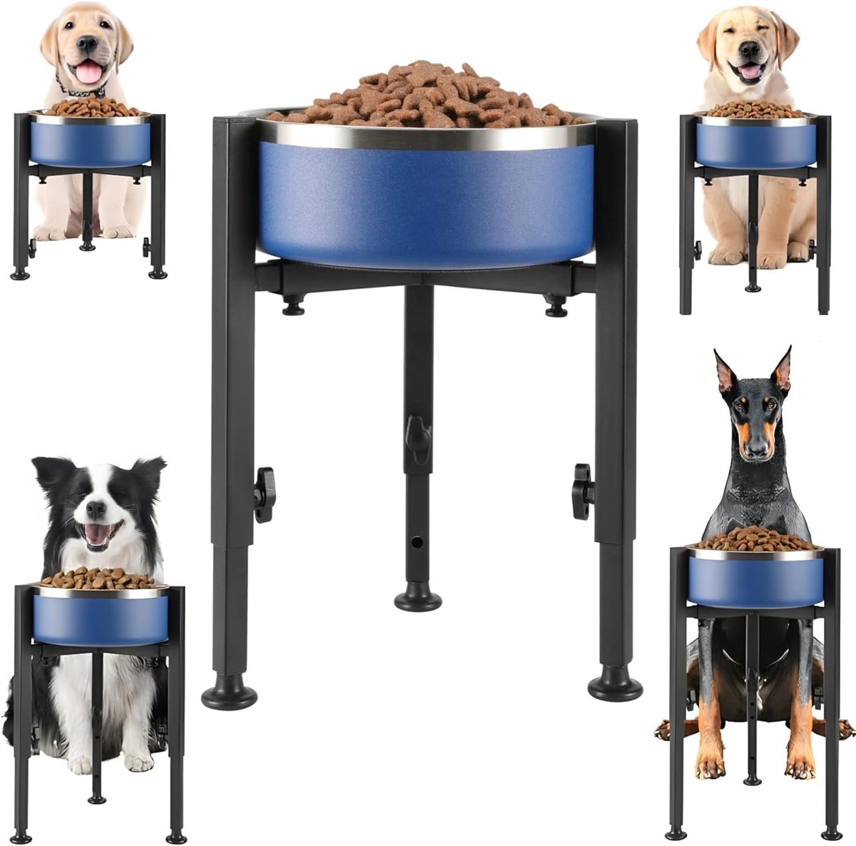 Verhoogde Voerbak - Honden Voerstation - Comfortabel Eten - Verstelbare Hoogte - 12 tot 18 Inch - Blauw