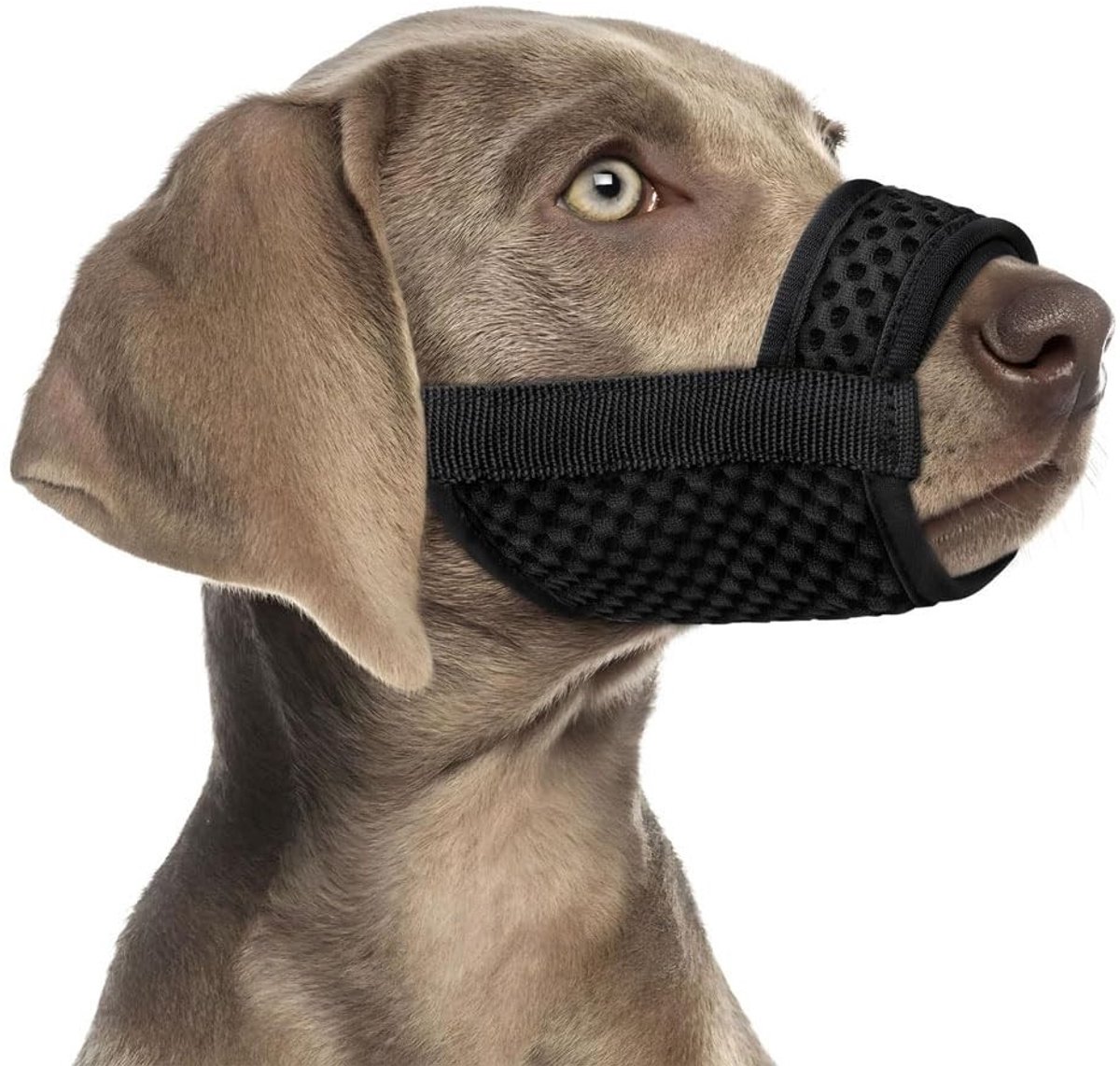 Dailygoods - Verstelbare Muilkorf voor Honden - Ademend Nylon voor Kleine tot Grote Honden