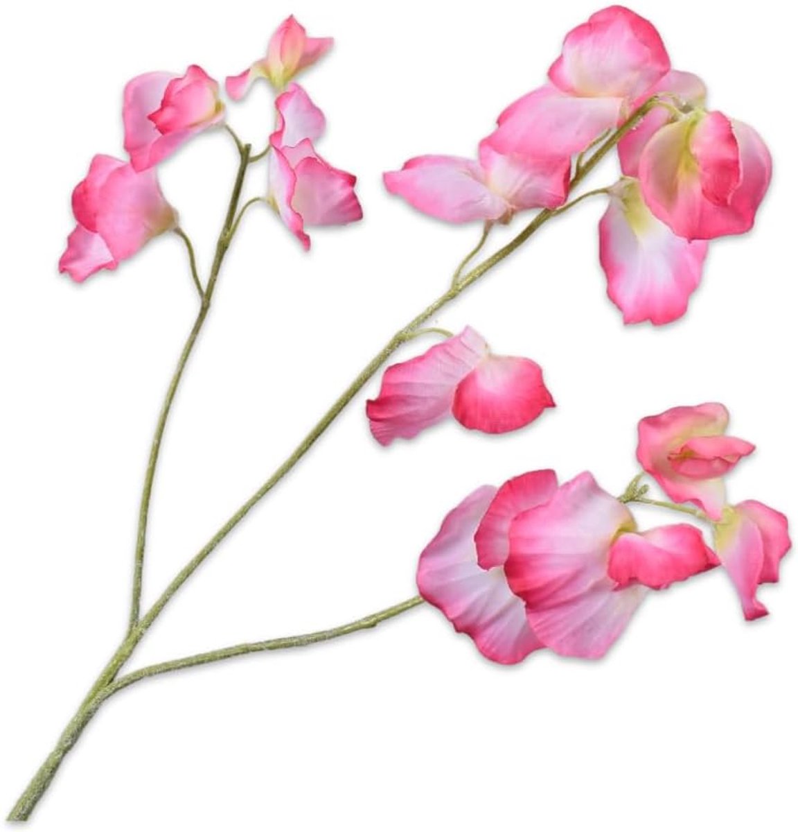SnelShoppen - Kunstbloemen - Zijde Lathyrus Tak - Beauty Cream - 66 cm - Set van 2 - Perfect voor Feest, Bruiloft, Tuin & Interieur