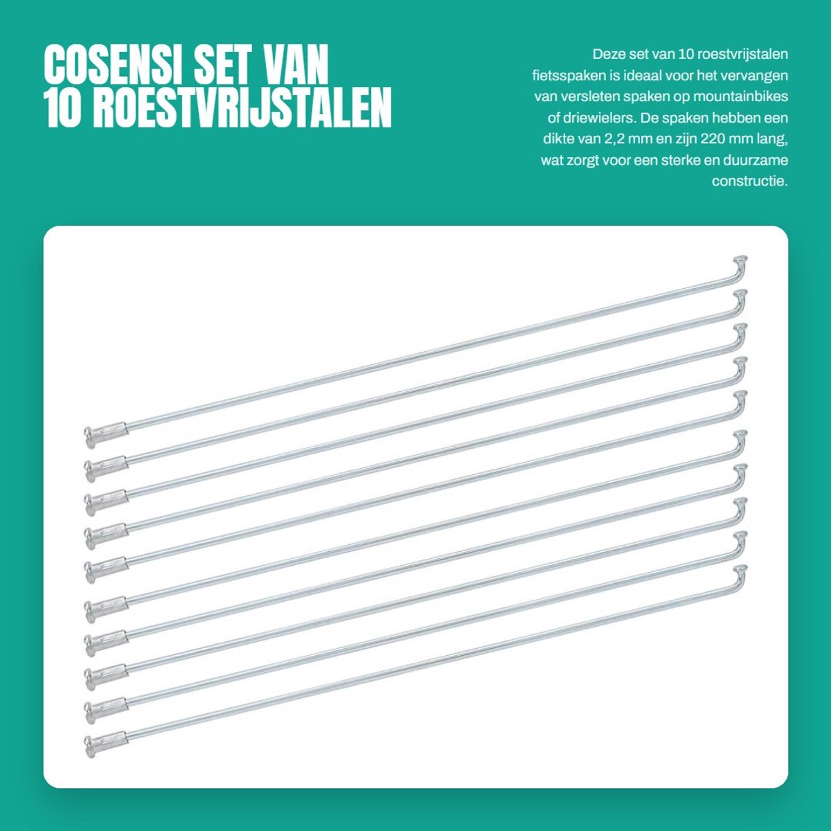 Dailygoods- Fiets Spaken 10 Stuks - Roestvrij Staal - 2,2 mm Dikte - Mountainbike/Driewieler - Accessoires - Ondersteuning voor Wiel - Fietsspaken