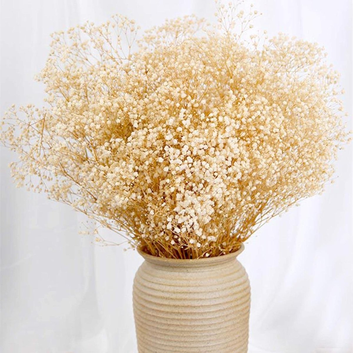 Baby adem bloemen - Gedroogde bloemen - Woondecoratie - Natuurlijk en echt - 43 cm - Ivoorwit