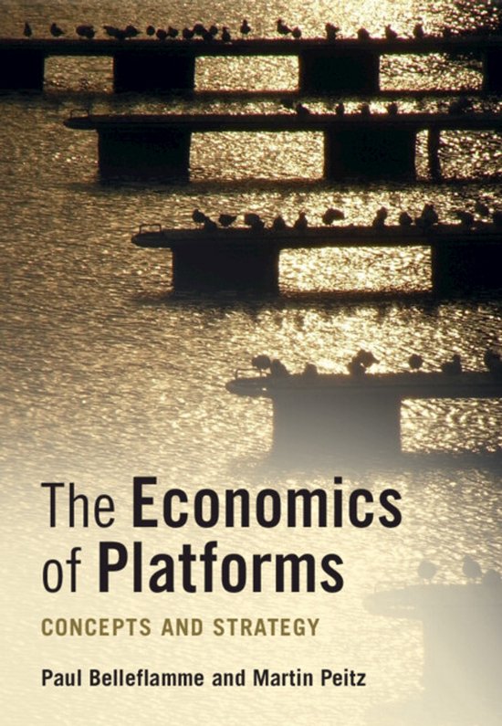 Boekomslag met de titel "The Economics of Platforms". Meerdere betonnen bruggen met vogels erop, verlicht door de zon.
