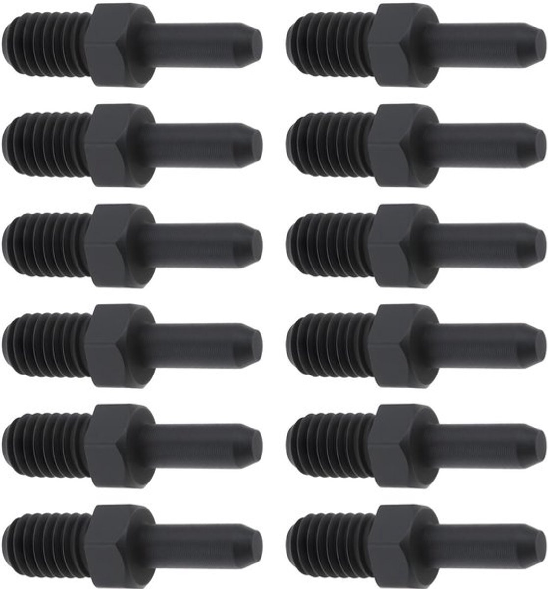 Kettingbreker 12Pcs - Vervangpinnen - Geschikt voor Fiets - M5 Standaard - Compatibel met Mountainbike/Racefiets - Afmetingen 4.9x3.1x19.3mm - Fietsaccessoire