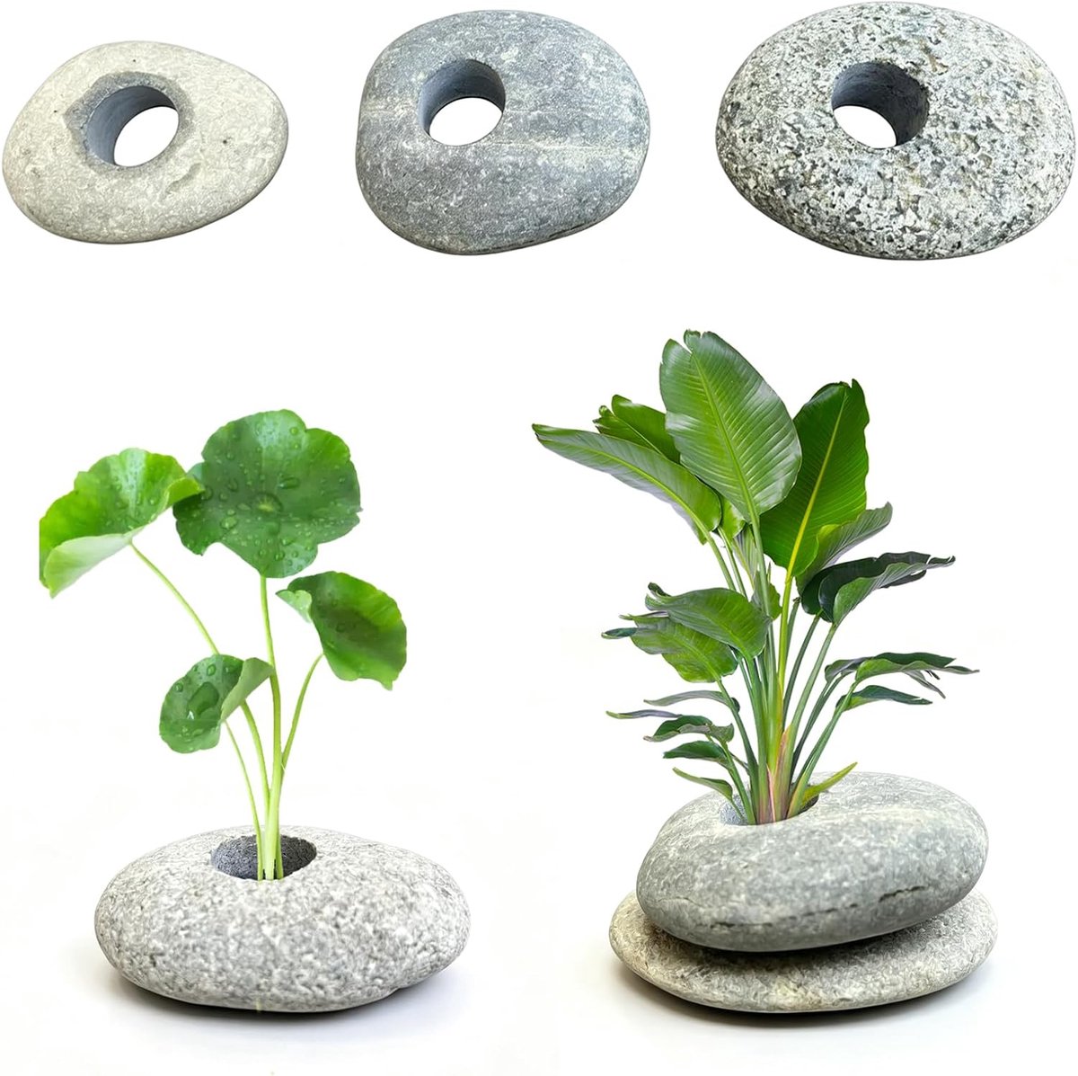 SnelShoppen - 6 Stuks Plantenstandaard voor Aquarium met Steen, 2,1 cm Opening, Waterplanten Vaste Ring en Katoen, Decoratie voor Aquaria