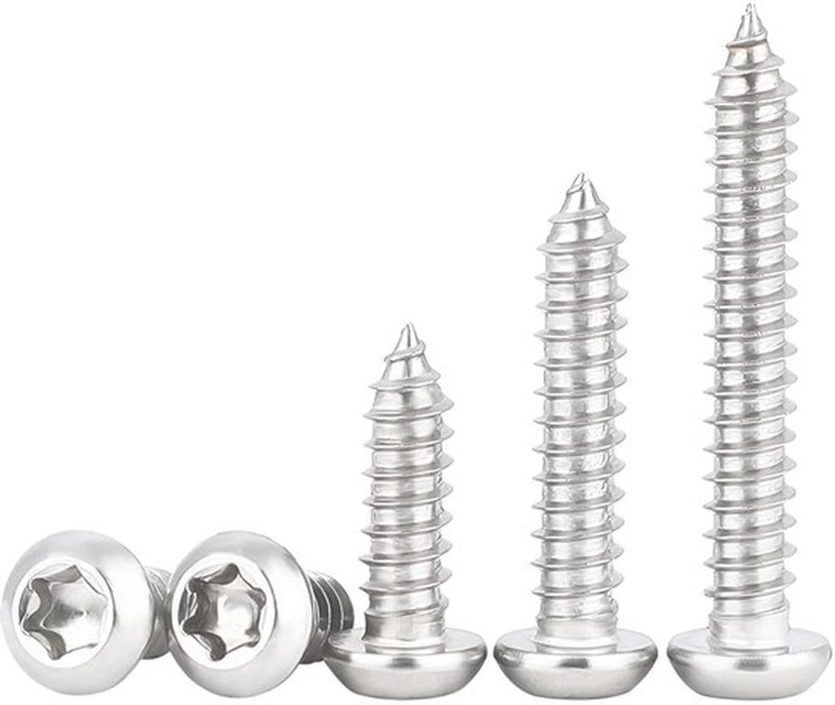 Zelfsnijdende Schroef 100 Stuks - M4x30mm - Torx Platkopschroeven - Roestvrij Staal - Goede Houdkracht - Diep Schroefdraadontwerp - Schroeven