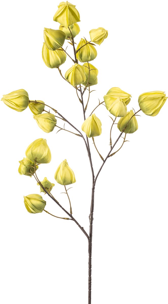Emerald Kunstbloem Physalis 90cm groen - Kunstplant voor binnen