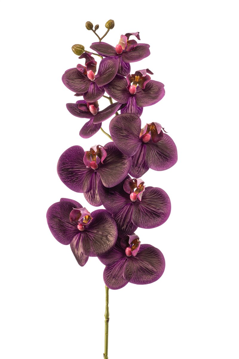 Emerald Kunstbloem Phalaenopsis RT 95cm paars - Kunstplant voor binnen
