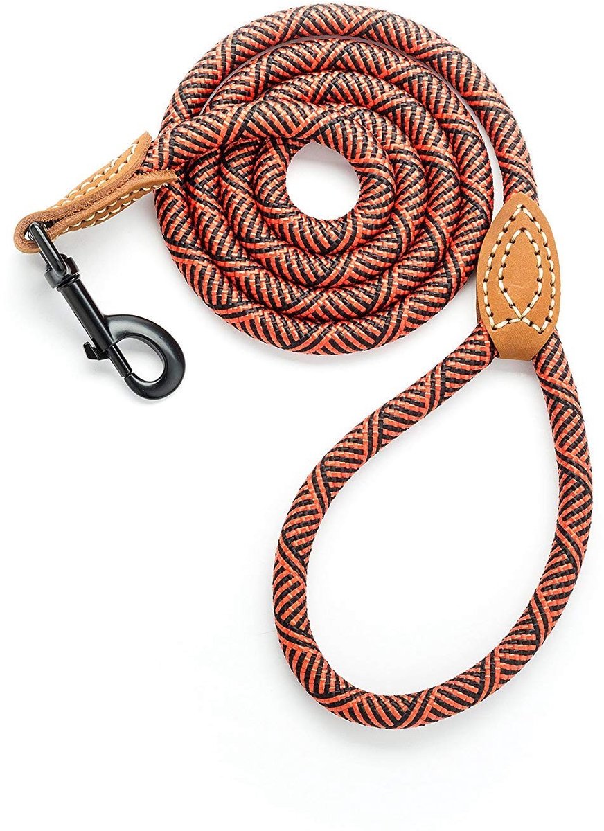Solidchoice - Robuuste Hondenriem met Klem en Leer - Rood - 1,8 m