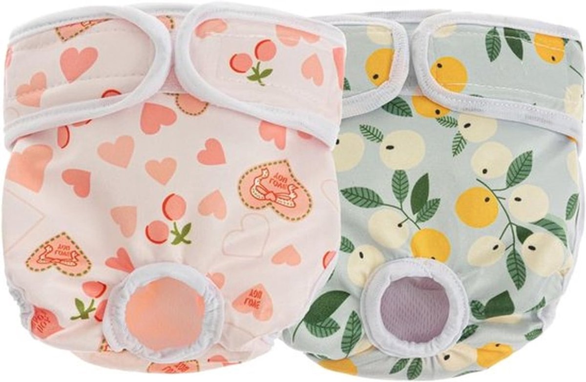 2 Stuks Herbruikbare en Wasbare Hondenluier voor Teefjes, Lekvrije Diapers voor Drachtige en Menstruerende Honden, Ideaal voor Binnengebruik en Training