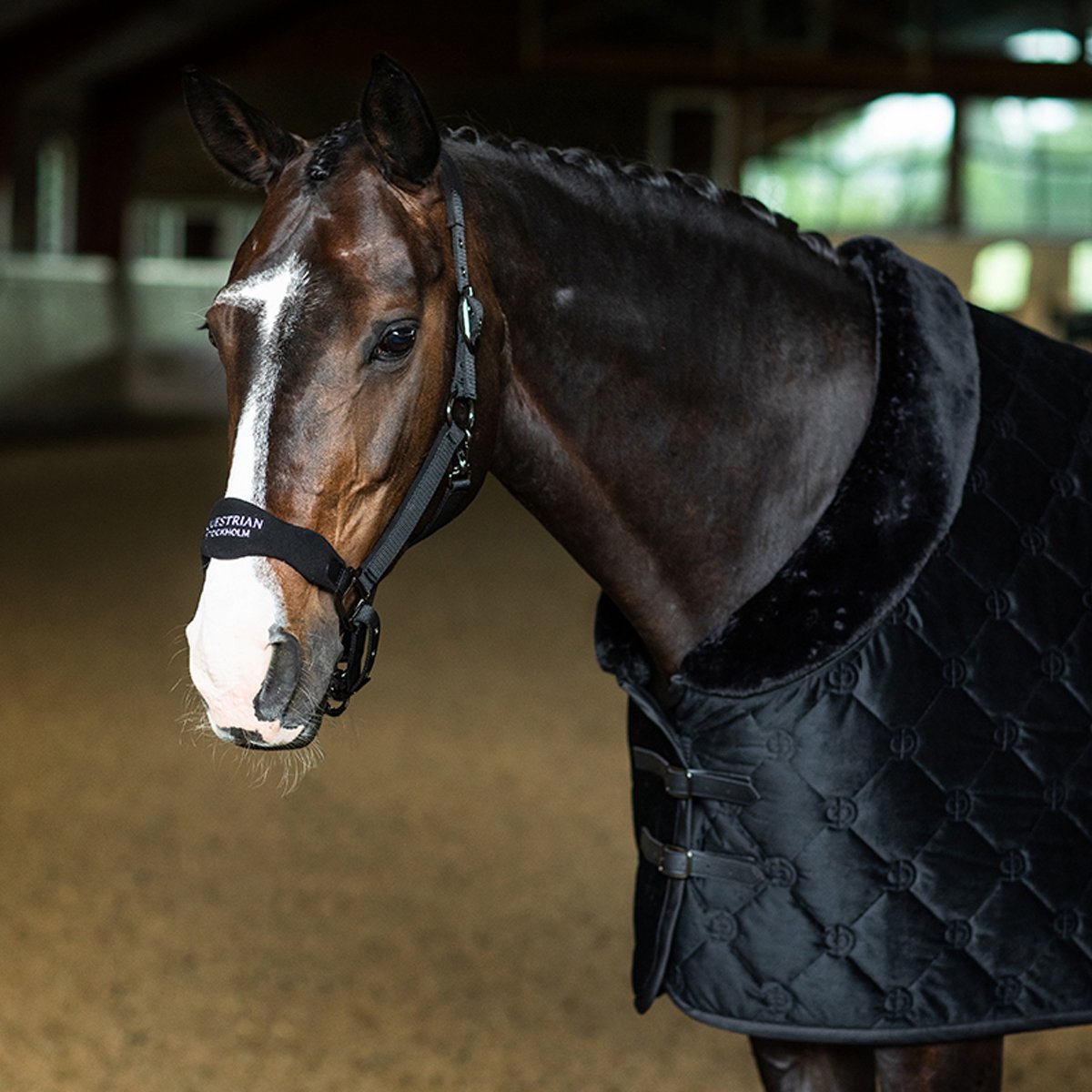 Equestrian Stockholm Halster Equestrian Stockholm Anatomic Black Zwart