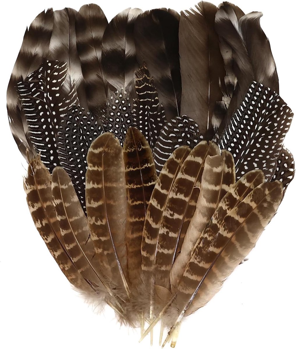 Natuurlijke kalkoenveren set van 30 - Pheasant veren - 3 stijlen - Perfect voor DIY en decoratie - ShopVlot