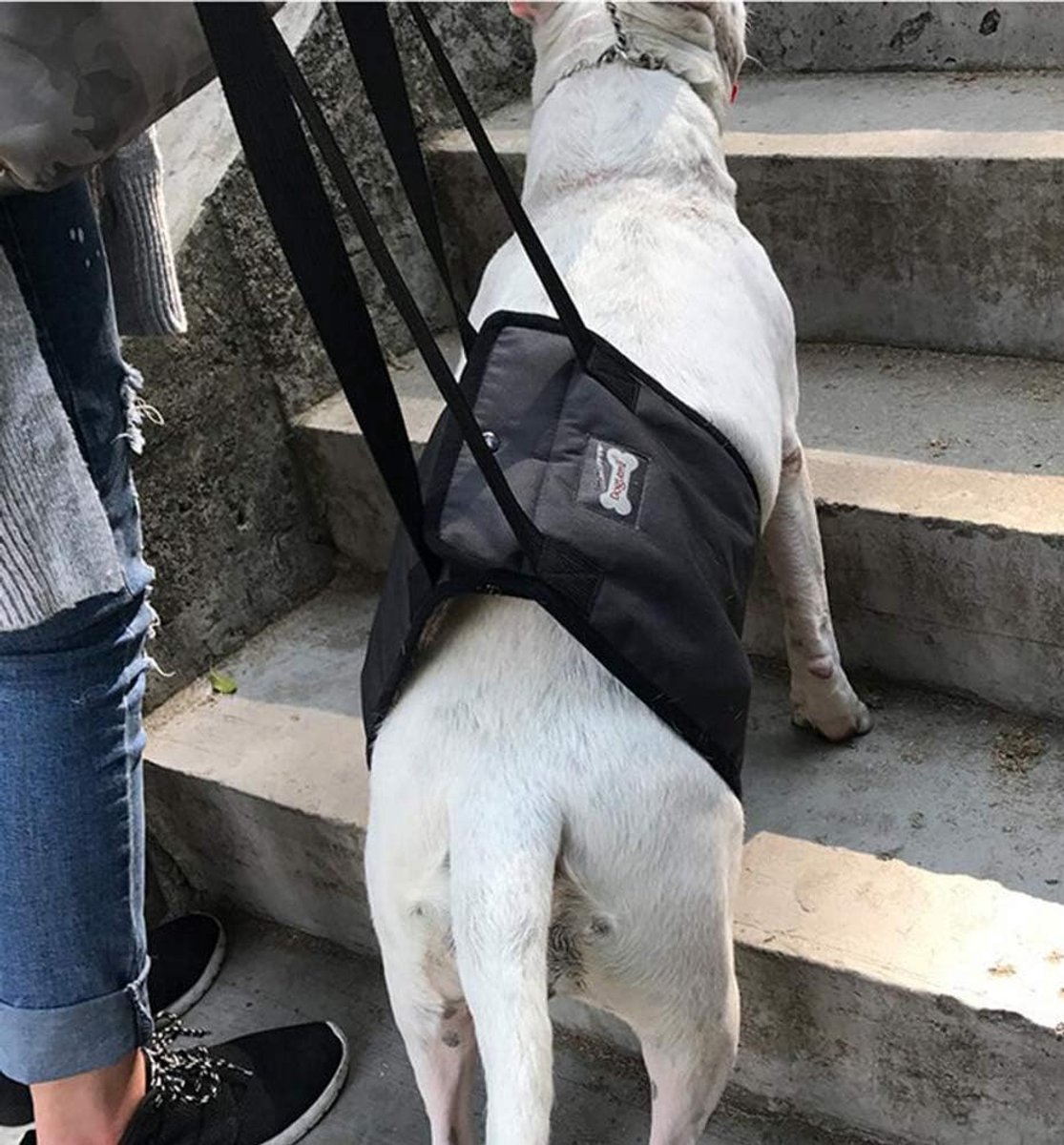Pet Dog Support Harness, Rehabilitation Harness, Dog Support, Support Bandage for Old, Disabled, Injured Dogs - ShopVlot