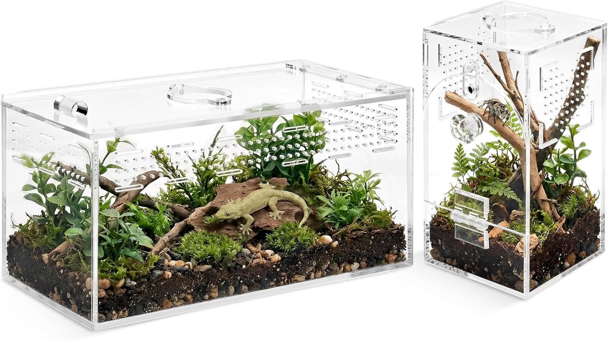 Springspinnen-acrylterrarium, set 2, M (20,3 x 10,1 x 10,1 cm) - ShopVlot