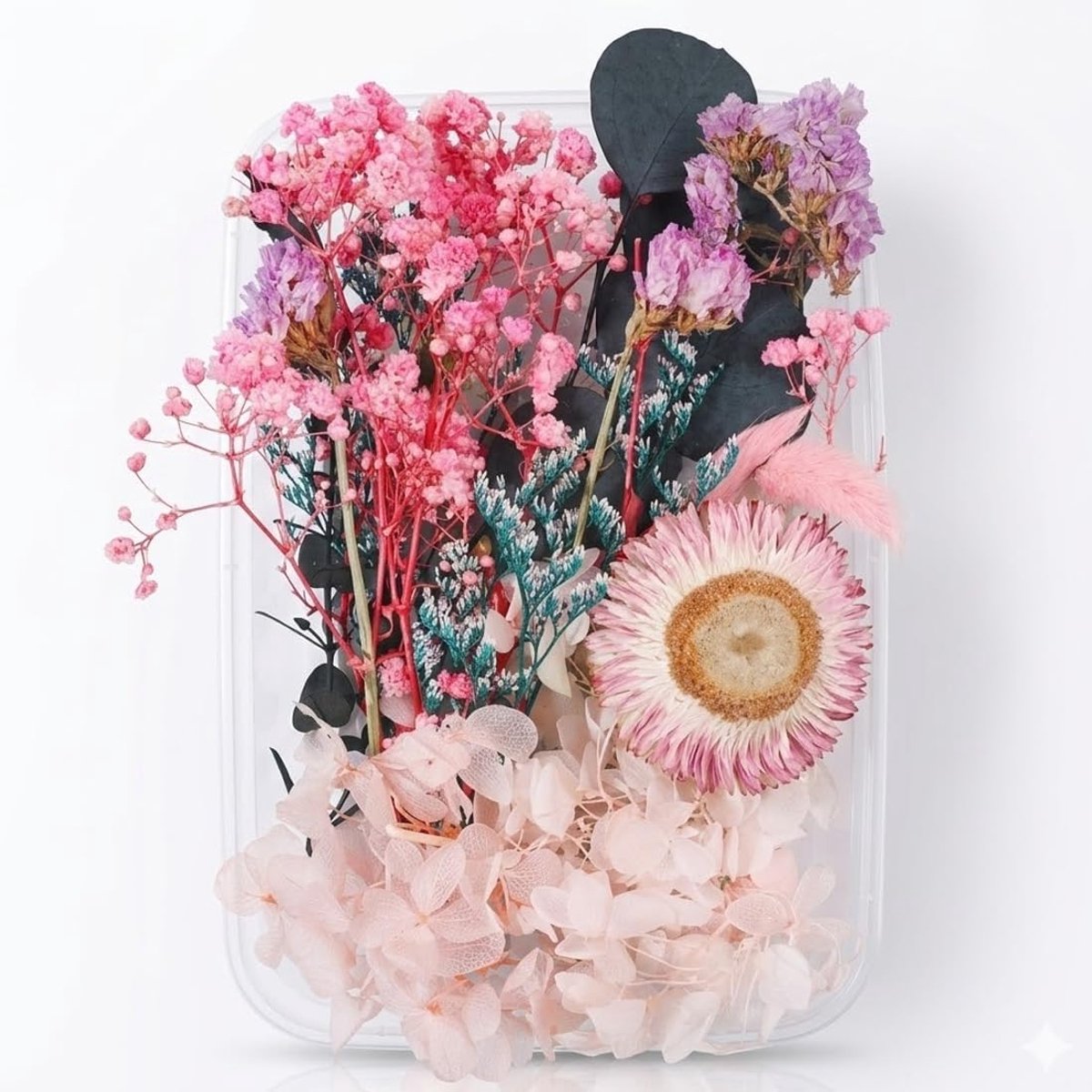 Natuurlijke gedroogde bloemen - handmatig verpakt - ideaal voor scrapbooking en decoraties - elegant voor bruiloften - ShopVlot