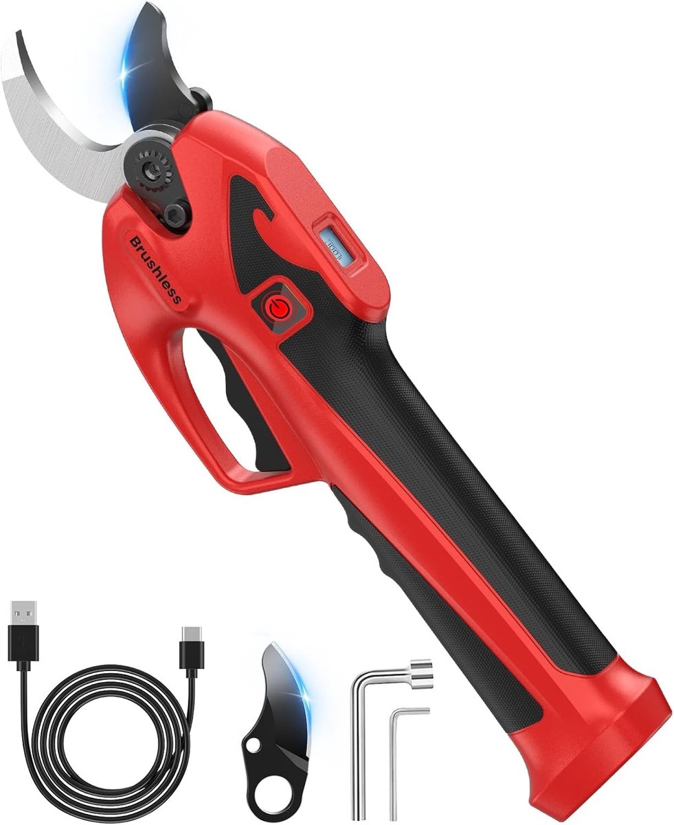 Accu-snoeischaar - Geen kleur - 25 cm x 8 cm - 600 W Borstelloze Motor met USB-C Opladen - Voor Takken en Fruitbomen