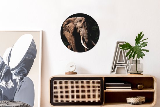 Cercle mural - Aluminium - Éléphant - Animaux - Dents - ⌀ 30 cm