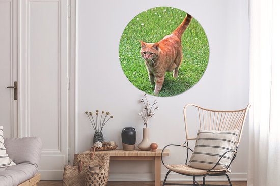 WallCircle - Cercle mural - Cercle mural - Chat - Rouge - Tomcat - Filles - Enfants - Garçons - Enfant - Aluminium - Dibond - 140x140 cm - Intérieur et Extérieur