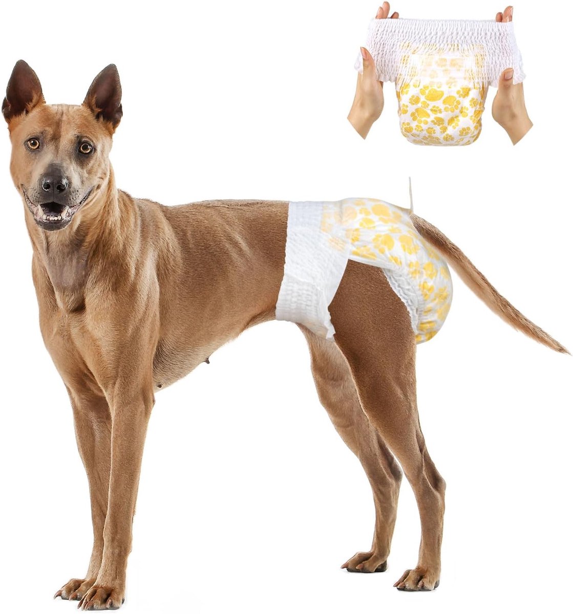 Luiers voor vrouwen met volledig omwikkelde, rekbare taille, 16 stuks, hondenluiers, super absorberend, lekvrij, luiers voor honden bij hitte, menstruatie, incontinentie, training, maat