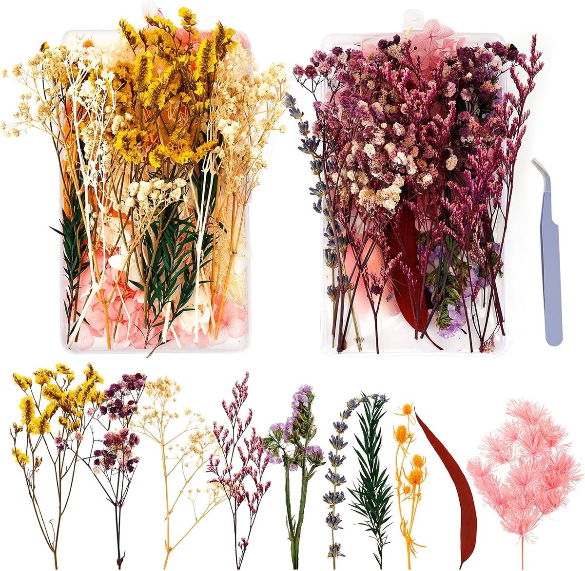 Gedroogde bloemen, 2 doosjes gedroogde geperste bloemen voor doe-het-zelf harsdecoratie