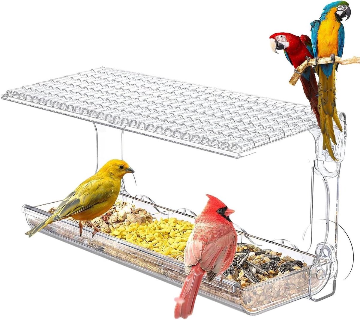 Vogelvoeder Zuignap - Vogelhuisje Raam - Vogels Kijken - Doorzichtig Weerbestendig - 308 x 158 x 52 cm - Transparant