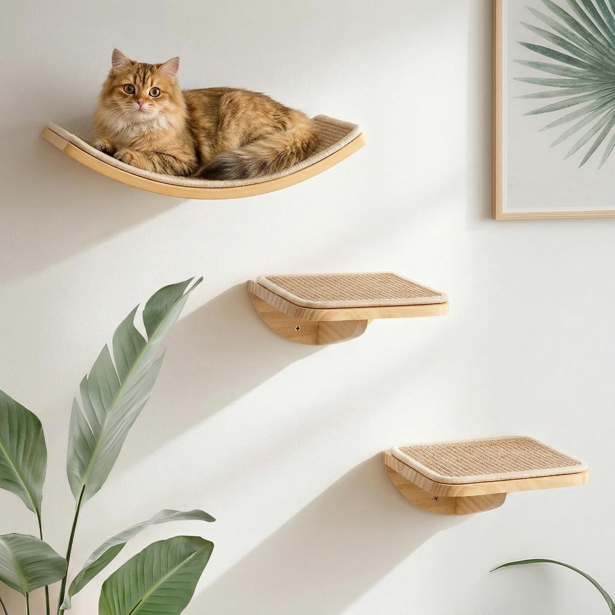 Kattentrappenwand 3-delige set - Hout - Met kattenbed en klimtreden - Muurbevestigd kattenmeubel voor klimmen en spelen