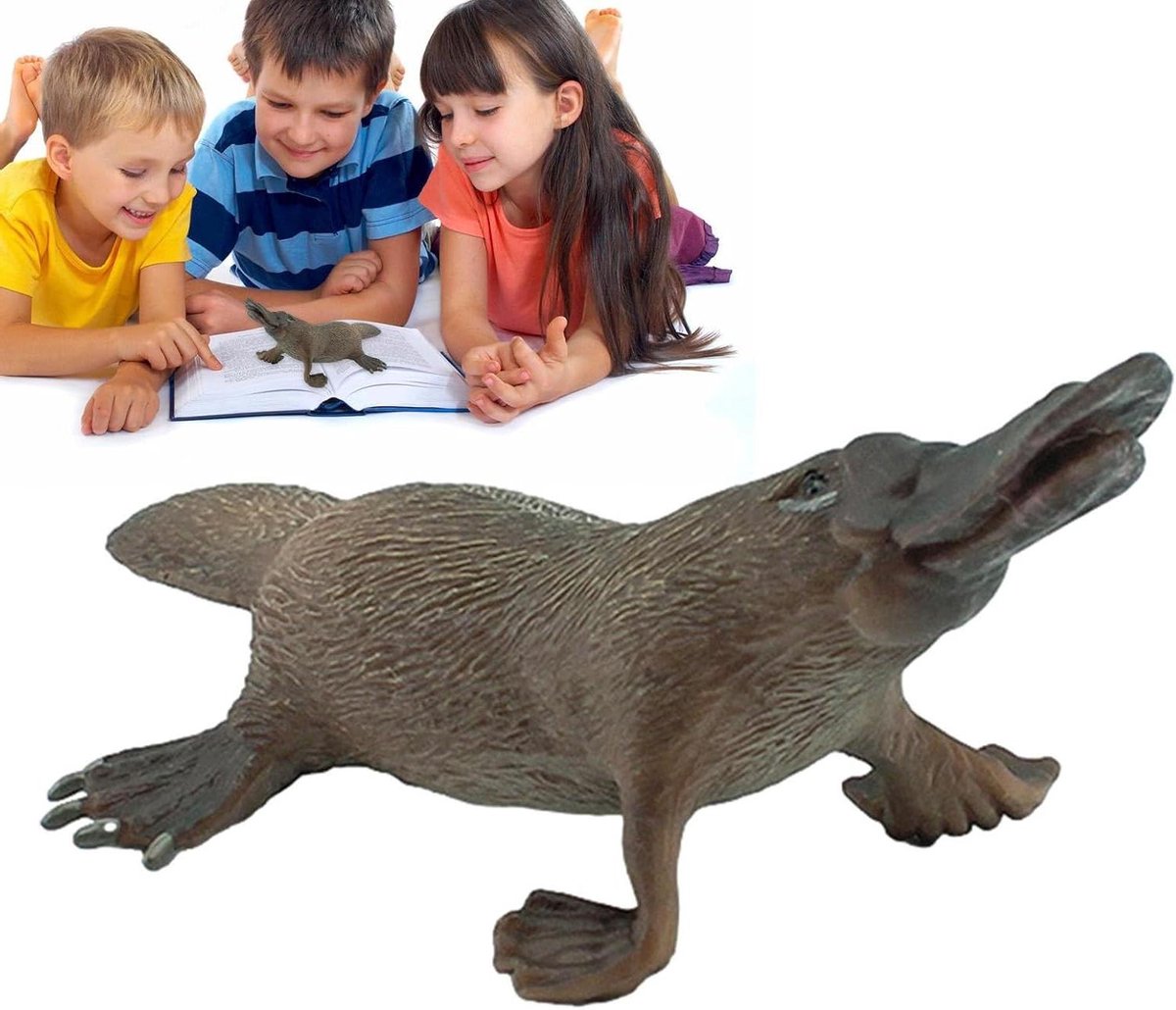 Vogelbekdier Speelfiguur - Dierenmodel Collectie - Educatief Spelen - Levendige Realistische Details - 17.5 cm Lengte - Niet Gespecificeerd