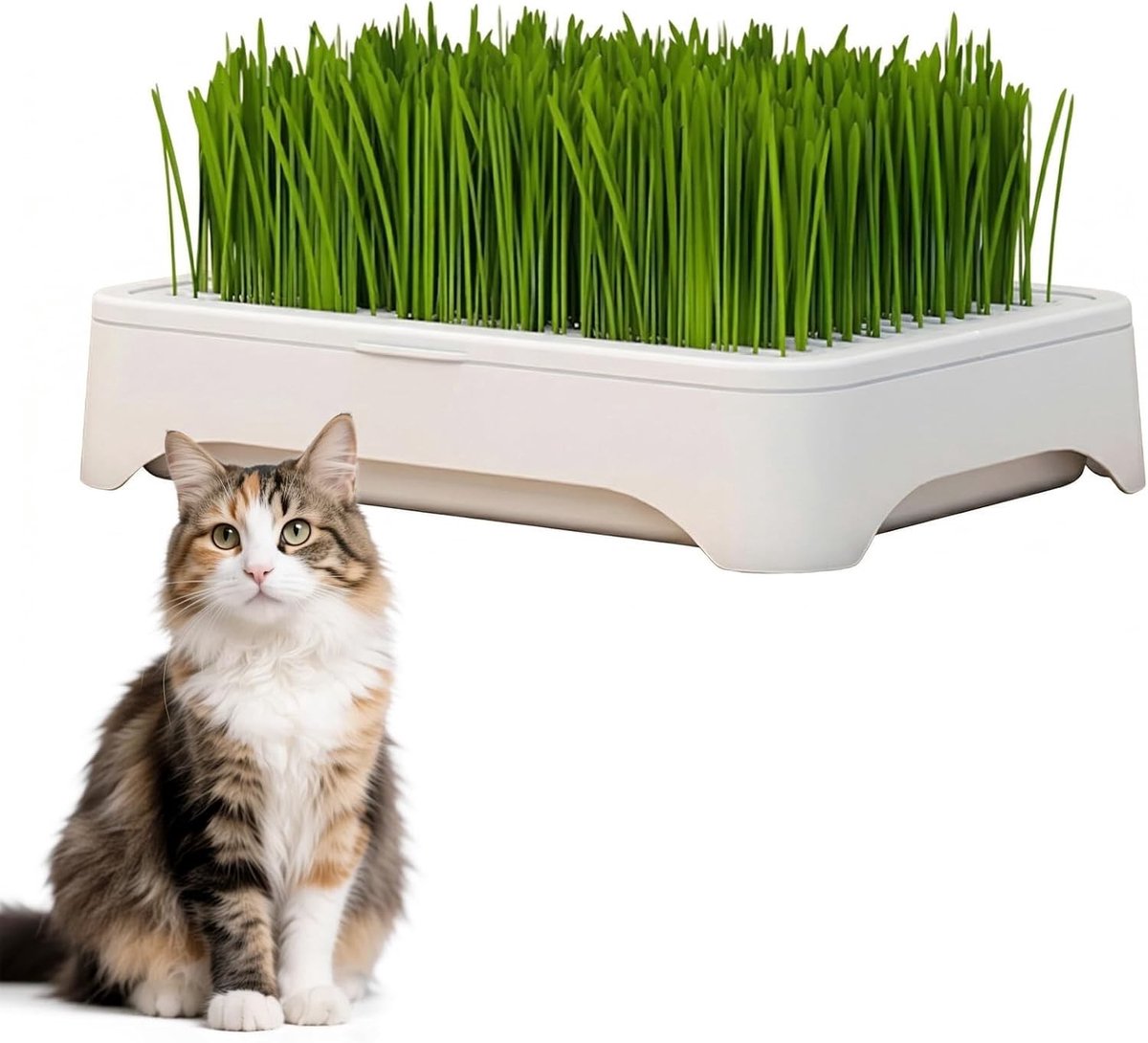 Tabletten voor het vermeerderen van plantenzaden, zaailingen en tuinplanten, 3-delig, ideaal voor kassen en buitengebruik