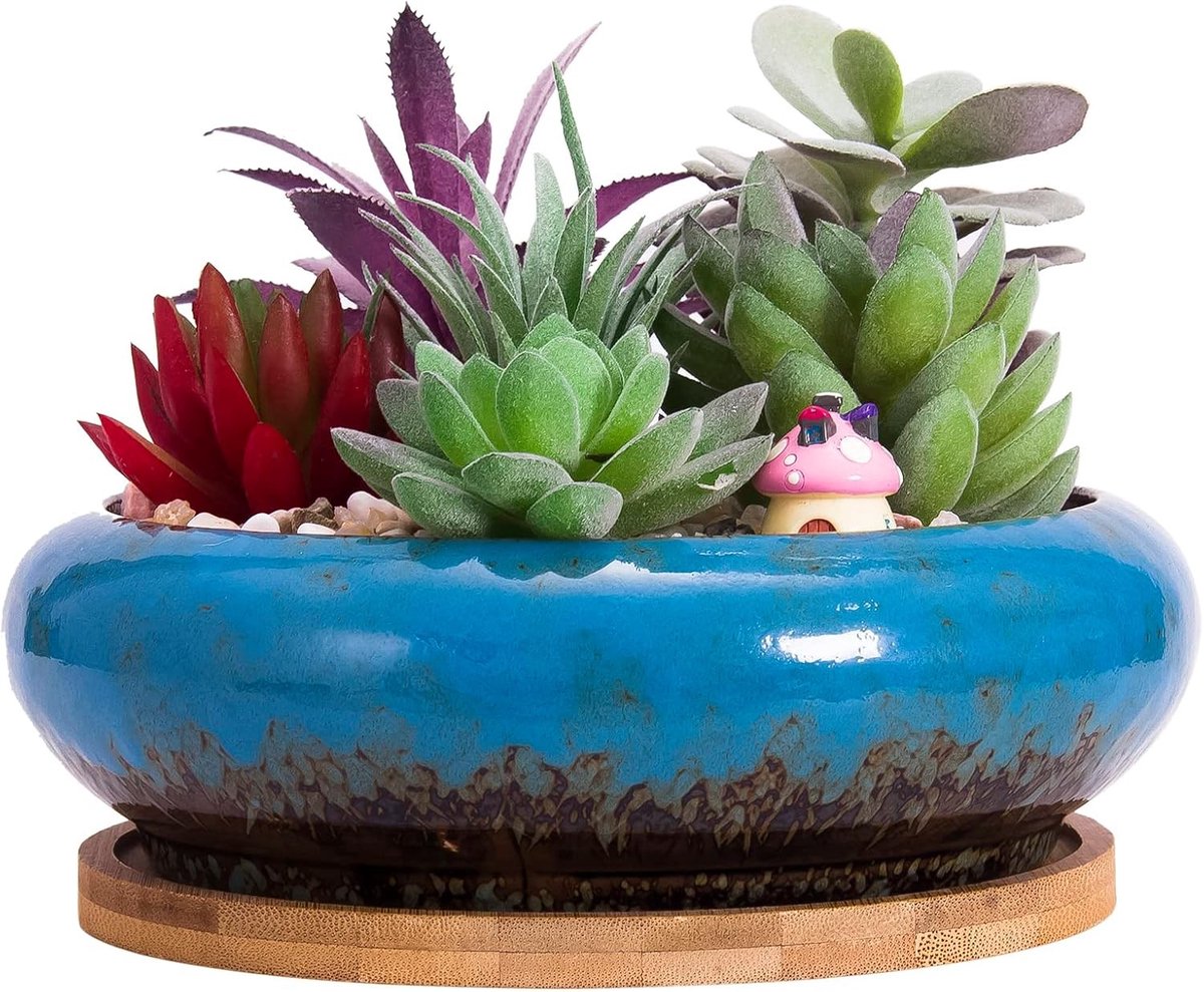 Succulente Plantenpot - Blauw met Dienblad - 15,5 x 15,5 x 5,5 cm - Keramische Bonsaipot met Drainagegat - Voor Binnen- en Buitenplanten