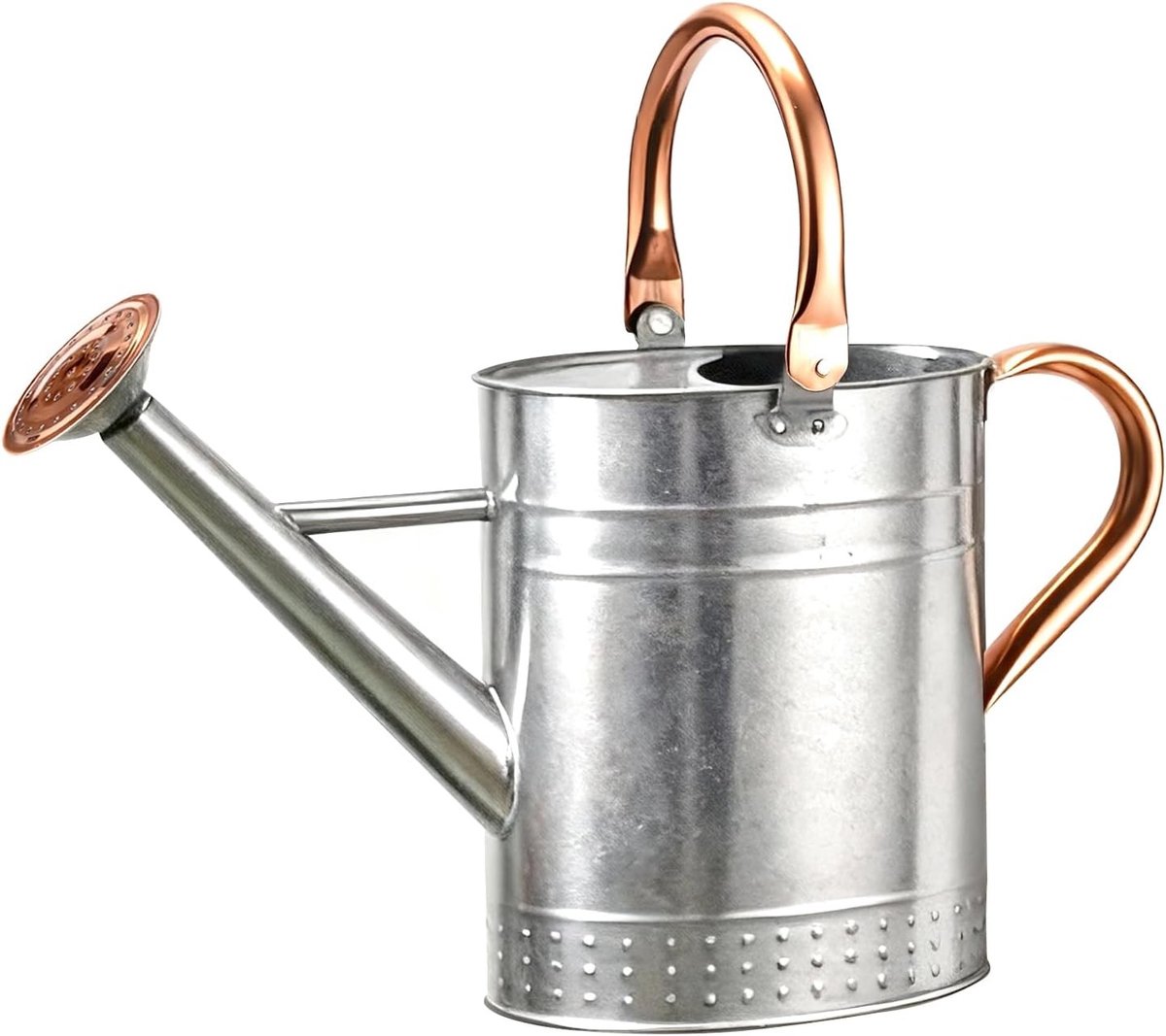 Waterkan voor Binnenplanten 3.8L RVS Waterkan met Lange Tuit voor het Watergeven van Binnen- en Buitenplanten in de Tuin - Duurzaam en Stijlvol